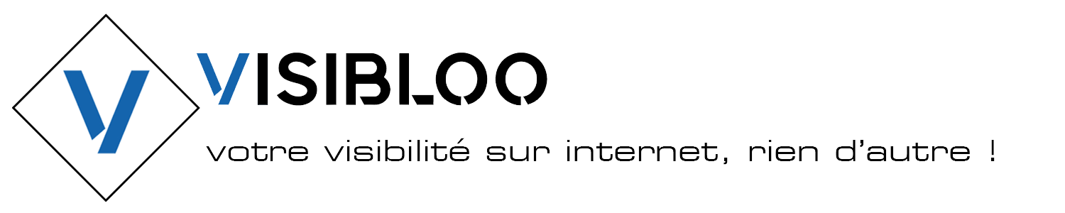 Le Logo de la société Visibloo
